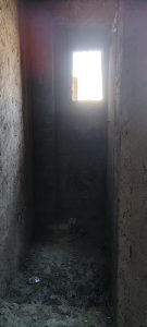 IMG_20250212_121354